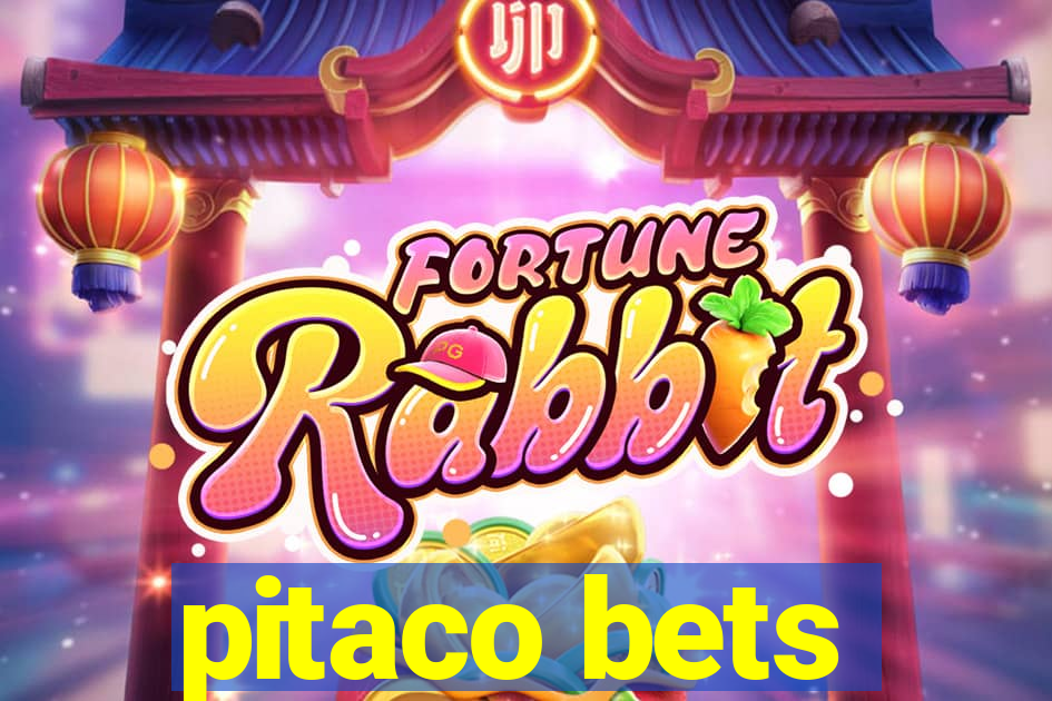 pitaco bets